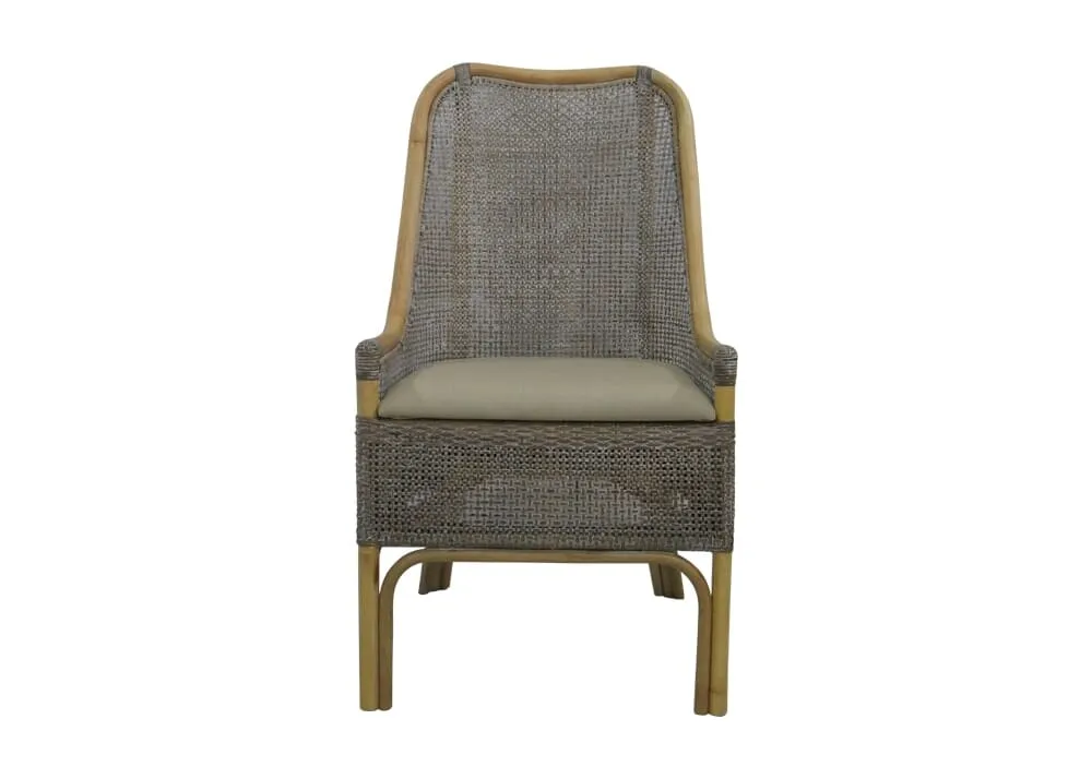 Albany Chair - Smoke Grey